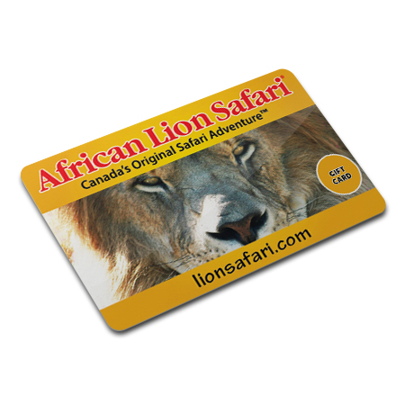 Gift Card | Safari Outfitters - African Lion Safari